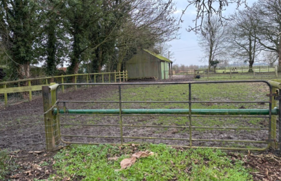 Building Plot/Land photo